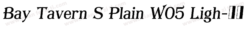 Bay Tavern S Plain W05 Ligh字体转换